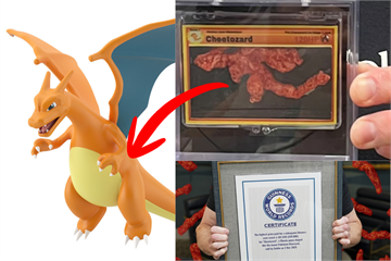 【價值280萬】一塊外型酷似「噴火龍」的奇多創下破世界紀錄的成交價