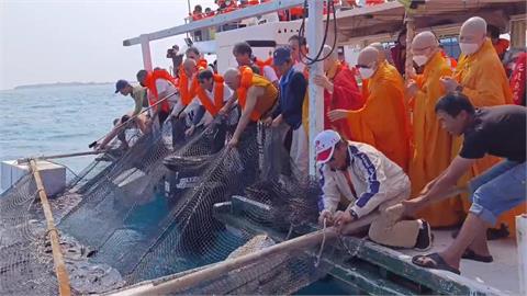 曾有放生卻死亡記錄　宗教團體澎湖元貝海域放流1500公斤成魚　引發關注
