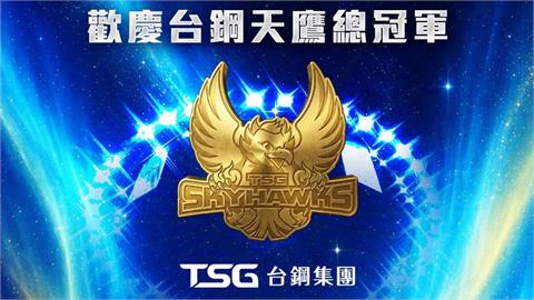 排球(影)／通通都有折扣！職排台鋼天鷹奪冠　集團品牌+四球隊推「限時同慶優惠」