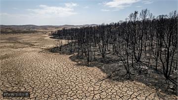 極端氣候災情慘！歐盟擬組「氣候保險聯盟」擴大承保
