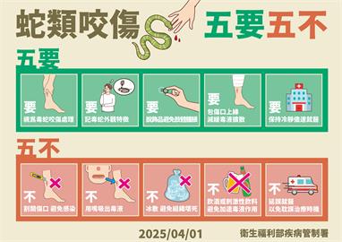 快新聞／清明掃墓注意！每年近千人遭毒蛇咬傷　疾管署提醒「牢記5要5不」