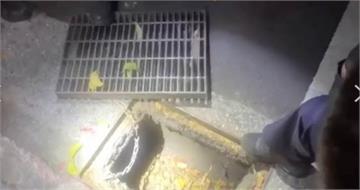 酒後結怨撂人算帳！攤商勸架反遭捅傷　警水溝蓋撈凶器逮3人