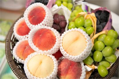 日本秋季水果展銷量冠軍是「它」！10珍品空運來台業績成長150％