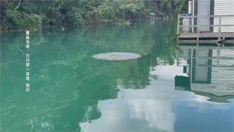 日月潭滾水冒大泡泡？！水中惡霸魚虎球獵食ing