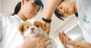 毛孩藥翻盤2／凌晨急救變大地遊戲　飼主淚籲：優化取藥效率再推新制