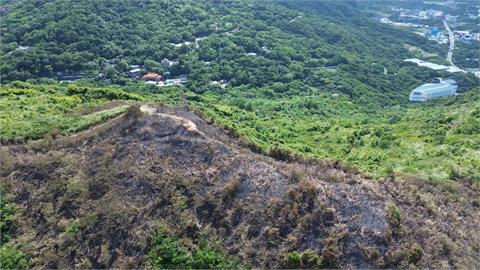 男子攀電塔慘遭電死！　掉落草叢引火燒山　芒草秘境成焦土