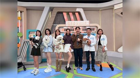 安苡愛毛孩濕疹反覆發作！只在家洗澡竟神奇痊癒