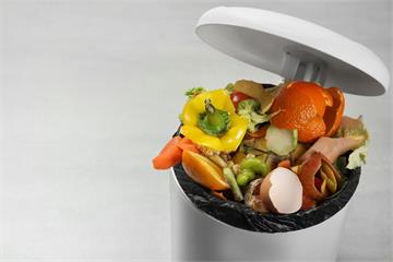 懶人救星還是荷包殺手？廚餘機優缺點大公開