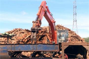廢橡膠木材做塑合板 泰國台商拚循環經濟