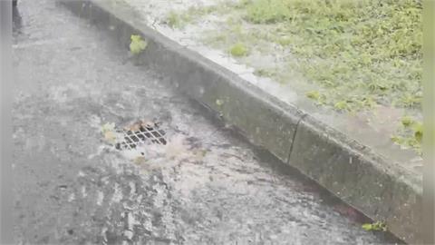 快新聞／快躲雨！15縣市大雨特報　4地區慎防大雷雨