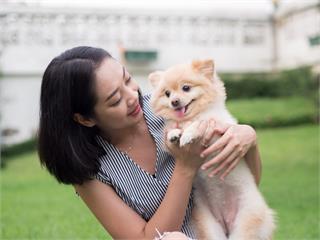 妳的貓好胖！飼主在路上聽到哪些話會內心糾結?