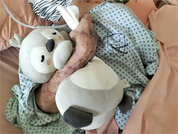醫巡房見長者「緊抱企鵝娃娃」熟睡！背後原因藏洋蔥：對病患很重要