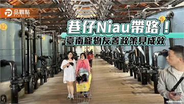巷仔Niau帶路！臺南寵物友善政策見成效　春節連假吸引人潮共融文化與毛孩