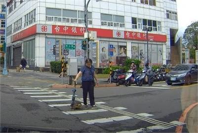 汽車駕駛遇陸龜過馬路「苦等20秒」！超慢速移動網歪樓：太可愛