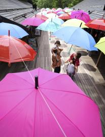 梅雨季到！清潔專家曝「妙招」　舊雨傘重獲新生