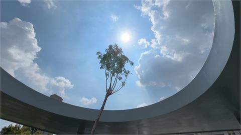 舊社停車場「圓型天井」爆紅　無法複製的畫作！圈住藍天綠樹如畫框