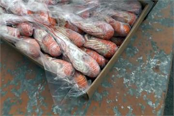 黑心貿易商重新包裝販售過期海鮮 熟凍龍蝦兩年前到期
