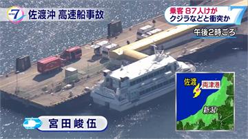 疑撞上座頭鯨 日本高速船87人輕重傷送醫