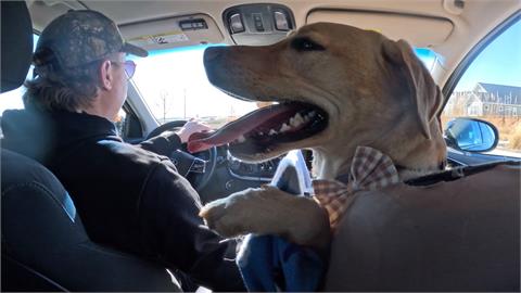 Uber司機愛犬　「坐副駕上工」　狗狗爆紅意外成網紅