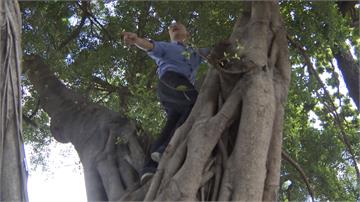 防疫新招？韓國瑜爬上樹查登革熱 網友高喊：樹民總統、緣木求蚊