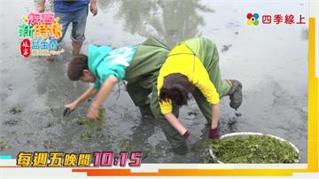《綜藝新時代》阿翔遭小豬黃沐妍屁拳攻擊　一頭栽進水蓮池裡洗「泥巴浴」