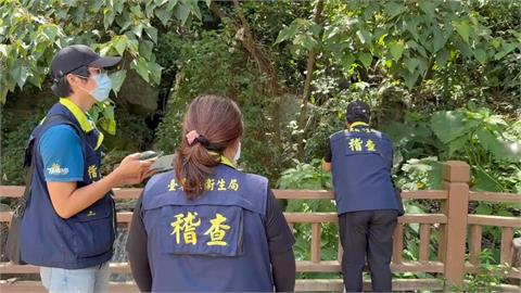 茶醉？台東3姊妹飲茶後瞳孔放大、意識模糊　初判疑誤食野菜中毒