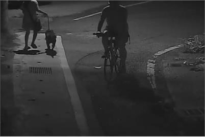 攻擊事件頻傳! 比特犬"沒戴嘴套"咬死貴賓狗 飼主走人不處理