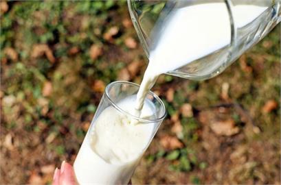 「燕麥＋牛奶」不利補充鈣質！營養師曝「4種NG搭配」：恐骨質流失