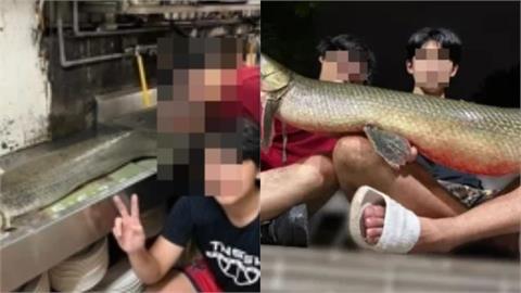228公園「鱷魚火箭」被吃下肚！學者揭超凶真面目...「1部位」有毒：不要食用