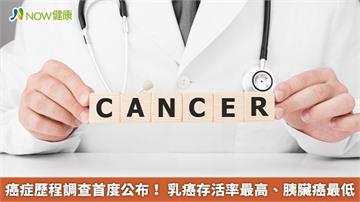 癌症歷程調查首度公布！ 乳癌存活率最高、胰臟癌最低