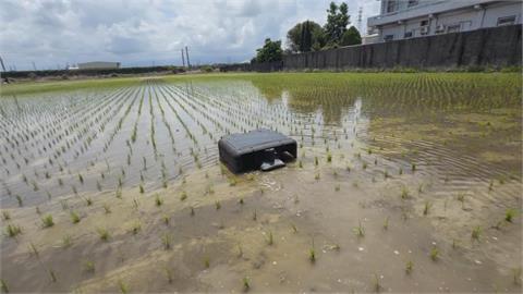 科技除草神兵！科技鴨巡田攪泥滅草　斷福壽螺生路