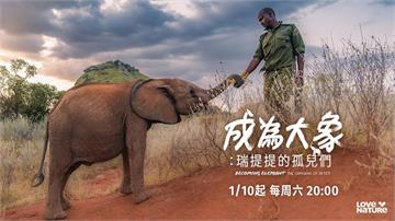 一場關於愛、治癒與回家的漫長告白：紀錄片影集《成為大象》Love Nature 溫情播出
