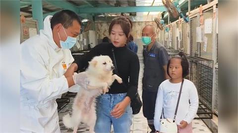 人人犬舍第二批156隻認養擠爆！　可愛萌犬有新家