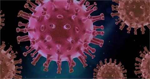 澳美合作研發抗疫療程　動物試驗證實消滅99.9%病毒