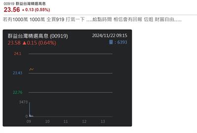 00919配息季季漲 網友：1000萬全買 財富自由