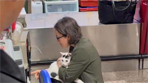 蕭美琴「秀秀的貓」9年前模樣曝　美國街頭被救「咬爆她手」如今沒脖子