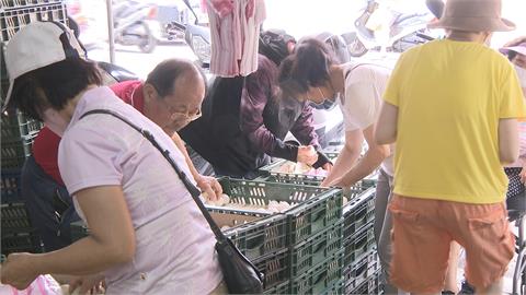 蛋價5連降創兩年來新低　雜糧行祭「買10斤米送1斤蛋」