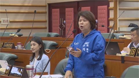 嘉義市立委初選　綠王美惠拚連任、藍4人相爭