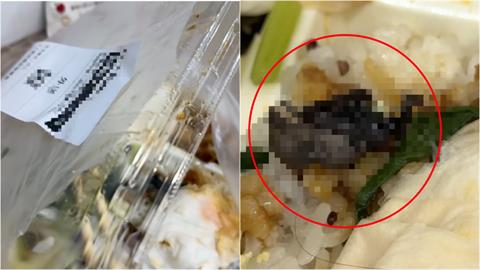便當驚見「整隻蝙蝠寶寶」！店家跳針「說1事」惹怒苦主　衛生局要查了