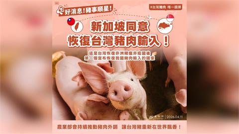 豬肉可以出口至新加坡了！農業部開心宣布：讓台灣豬再次走向世界