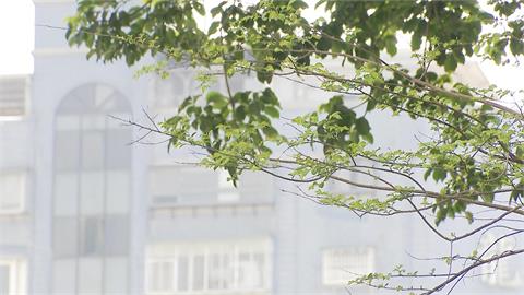換季哈啾、眼睛癢不一定是感冒! 醫師:可從增加腸道好菌.調整體質