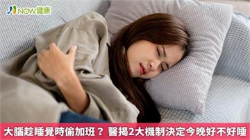 大腦趁睡覺時偷加班？ 醫揭2大機制決定今晚好不好睡