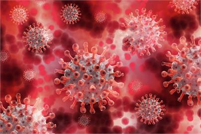 快新聞／土耳其疑似出現新變種病毒　在伊茲米爾省感染病例中佔4成