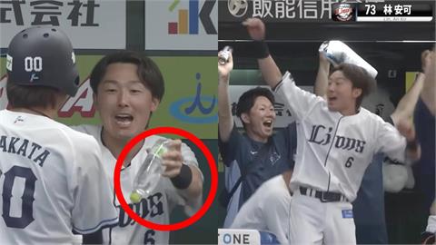 日職(影)／林安可再見轟西武板凳席反應曝光　是他「忙遞水瓶」帶頭噴灑慶賀