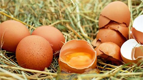 「雞蛋有血」到底能不能吃？專家曝「血斑蛋」原因：恐有1影響！