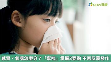 感冒、氣喘怎麼分？「棄喘」掌握3要點　不再反覆發作