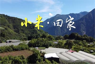 異言堂／過年禁打嗝 吃蔥蒜魚 以免觸怒小米女神