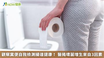 觀察糞便自我檢測腸道健康！ 醫揭壞菌增生來自3因素
