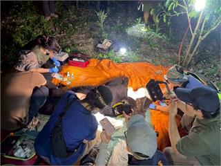 花蓮黑熊「攻擊人」遭槍擊亡　林保署遺憾：基於生命安全優先考量
