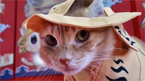 高雄捷運攜手北港朝天宮 蜜柑站長「虎袍加身」亮相